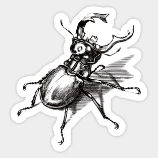 Dramabite Vintage stag beetle illustration Sticker